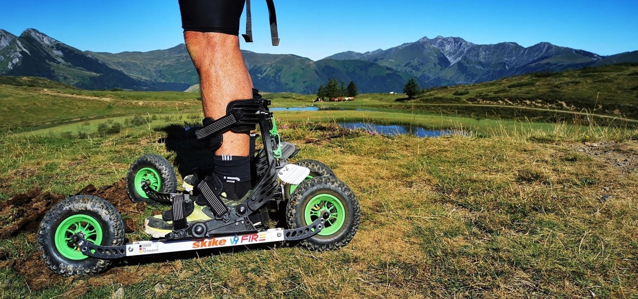 Bestsellers - Roll and Pole